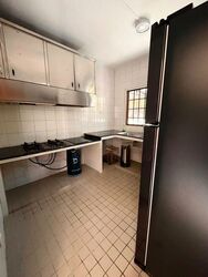 Jansen 8 (D19), Terrace #500728531